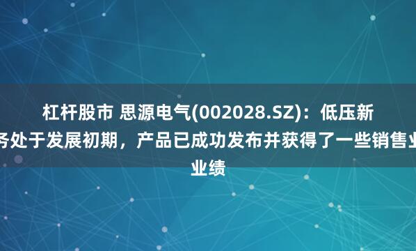 杠杆股市 思源电气(002028.SZ)：低压新业务处于发展初期，产品已成功发布并获得了一些销售业绩
