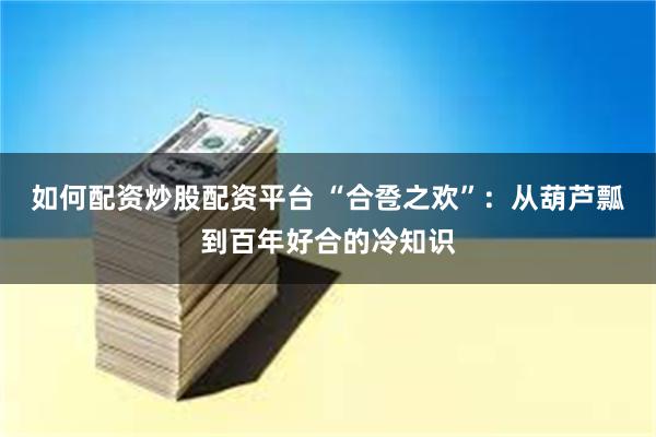 如何配资炒股配资平台 “合卺之欢”：从葫芦瓢到百年好合的冷知识