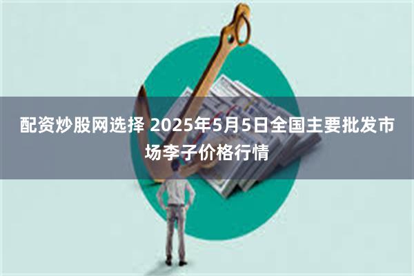 配资炒股网选择 2025年5月5日全国主要批发市场李子价格行情