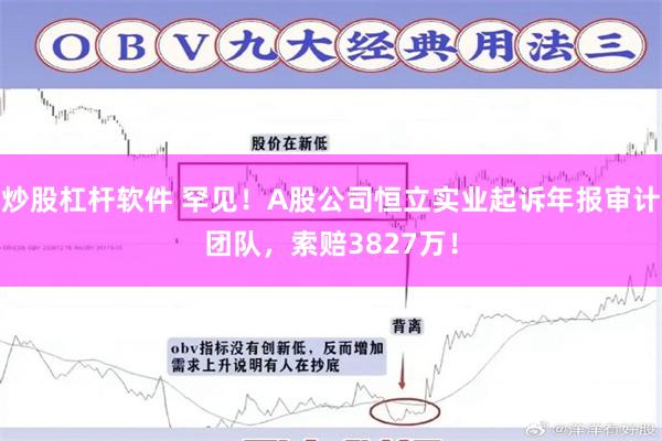 炒股杠杆软件 罕见！A股公司恒立实业起诉年报审计团队，索赔3827万！