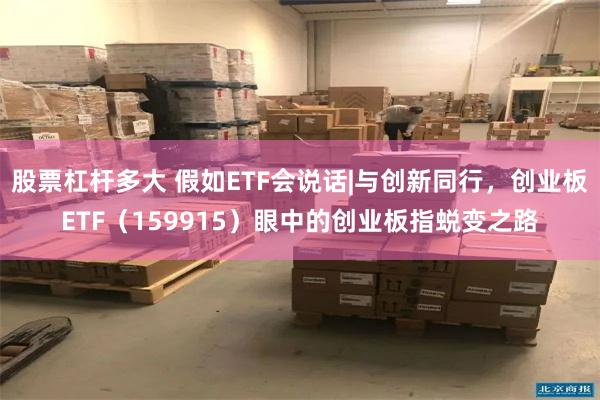 股票杠杆多大 假如ETF会说话|与创新同行，创业板ETF（159915）眼中的创业板指蜕变之路
