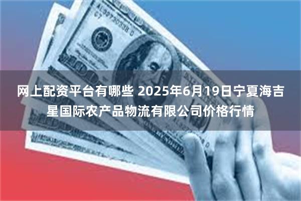 网上配资平台有哪些 2025年6月19日宁夏海吉星国际农产品物流有限公司价格行情