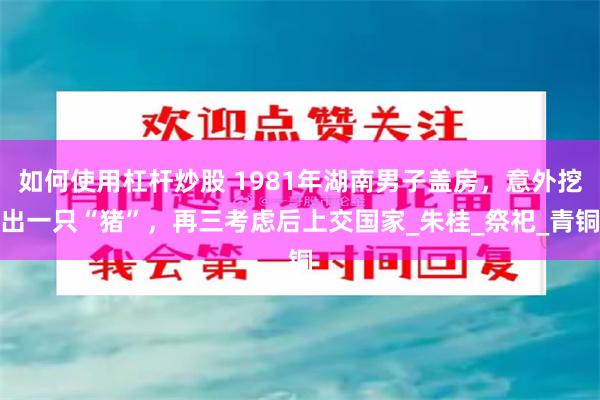 如何使用杠杆炒股 1981年湖南男子盖房，意外挖出一只“猪”，再三考虑后上交国家_朱桂_祭祀_青铜