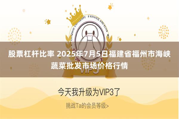 股票杠杆比率 2025年7月5日福建省福州市海峡蔬菜批发市场价格行情