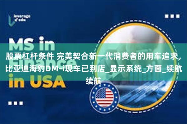 股票杠杆条件 完美契合新一代消费者的用车追求，比亚迪海豹DM-i现车已到店_显示系统_方面_续航