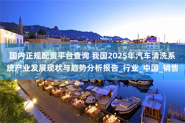 国内正规配资平台查询 我国2025年汽车清洗系统产业发展现状与趋势分析报告_行业_中国_销售