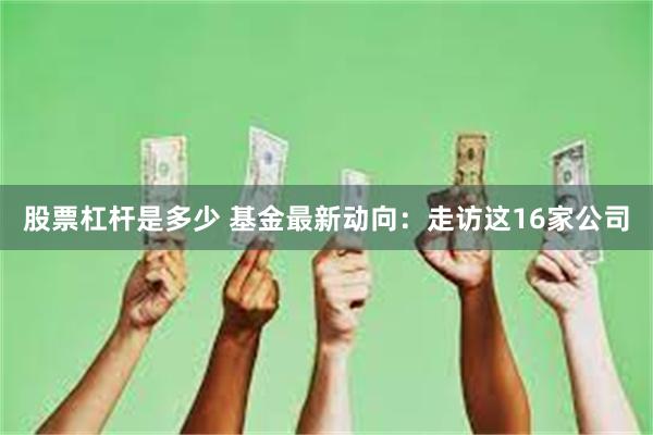 股票杠杆是多少 基金最新动向：走访这16家公司