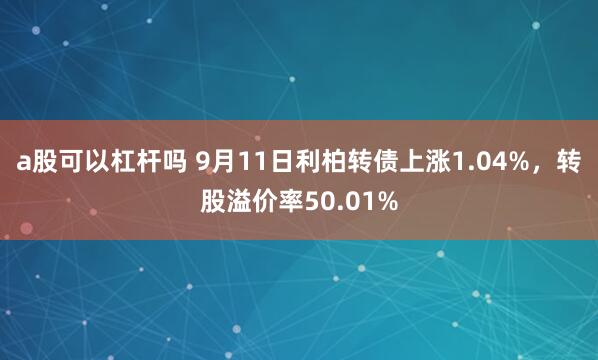 a股可以杠杆吗 9月11日利柏转债上涨1.04%，转股溢价率50.01%