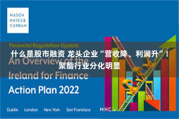 什么是股市融资 龙头企业“营收降、利润升”！聚酯行业分化明显