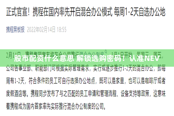 股市配资什么意思 解锁选购密码!认准NEV