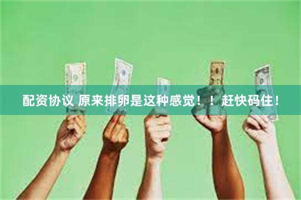 配资协议 原来排卵是这种感觉！！赶快码住！