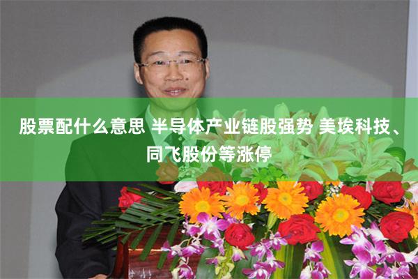 股票配什么意思 半导体产业链股强势 美埃科技、同飞股份等涨停